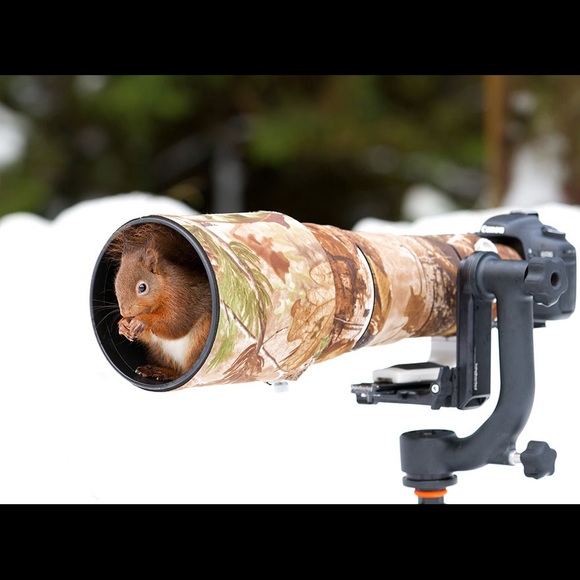 Check this out!!!! - Picture 2 of 2